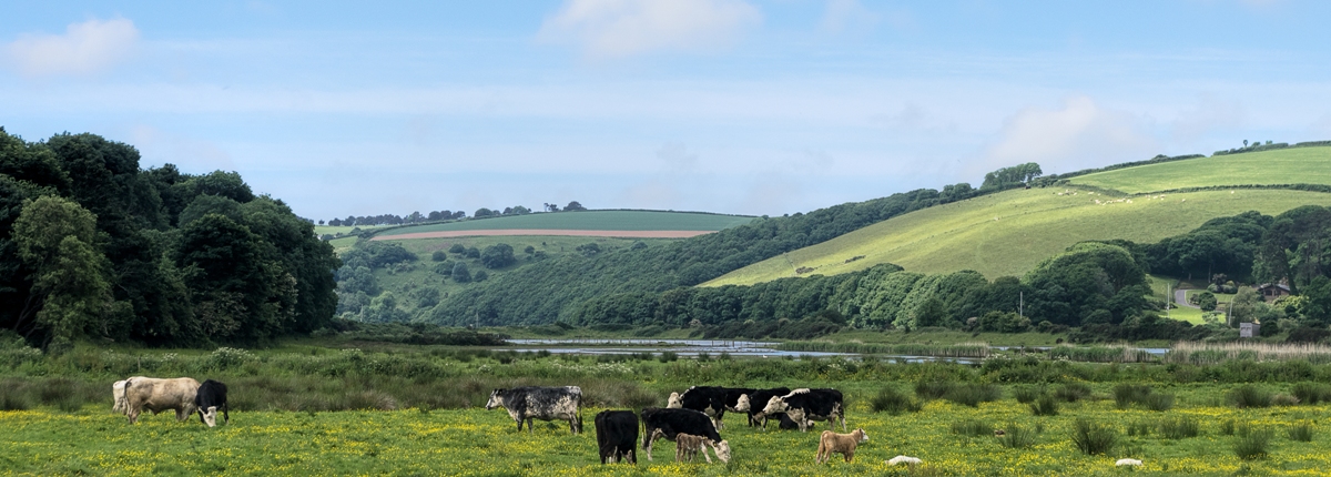 farms to visit south devon